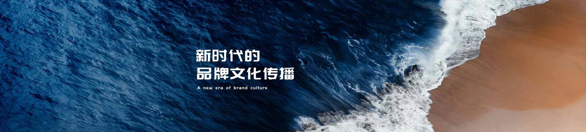 网络营销